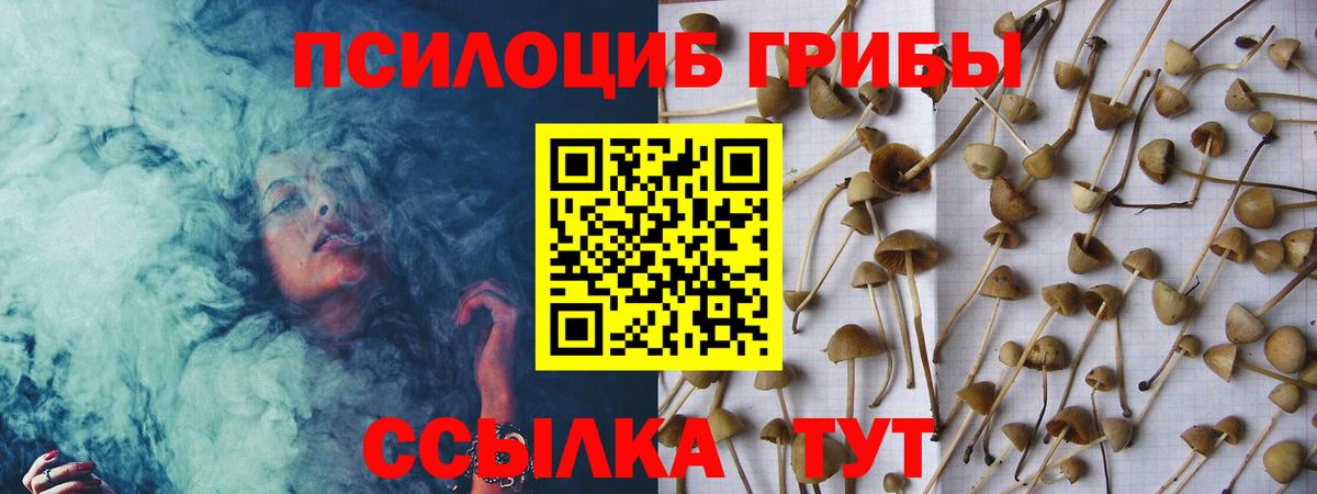 Галлюциногенные грибы GOLDEN TEACHER  Вход с VPN  Сергиев Посад 