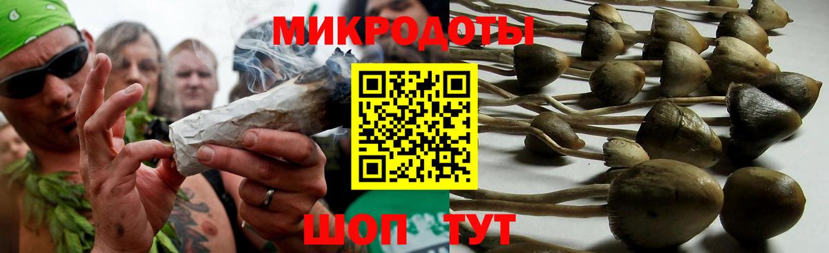 Псилоцибиновые грибы Psilocybe Сергиев Посад